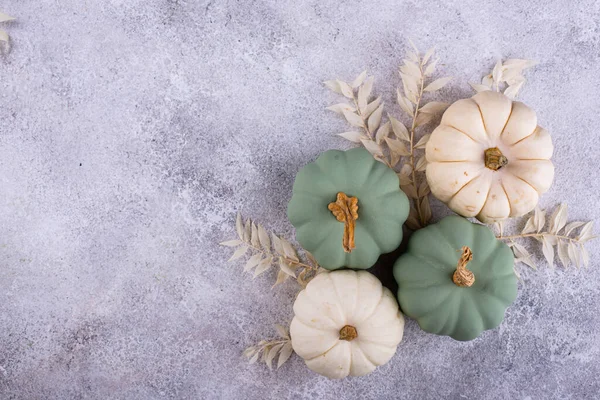 White Green Decorative Pumpkins Autumn Background — Fotografia de Stock