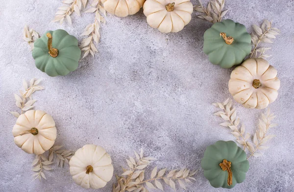 White Green Decorative Pumpkins Autumn Background — Fotografia de Stock