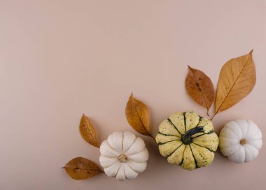 Farklı kuru yapraklarla sonbahar sonbahar arkaplanı.