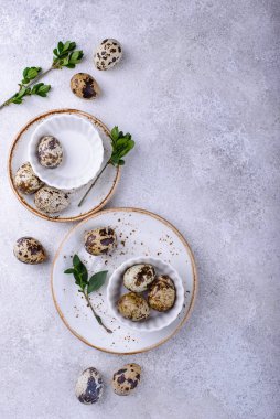 Arka planda çiğ bıldırcın yumurtası olan bir kase.