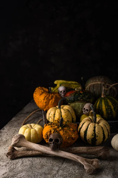 Élégante Halloween Nature Morte Avec Citrouille Décorative Crâne — Photo