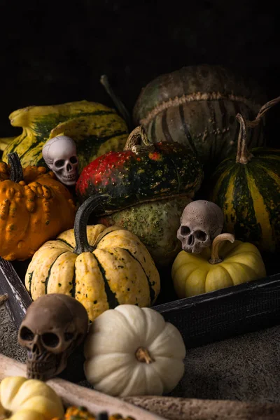 Elegant Halloween Still Life Decorative Pumpkin Skull — Stock Photo, Image