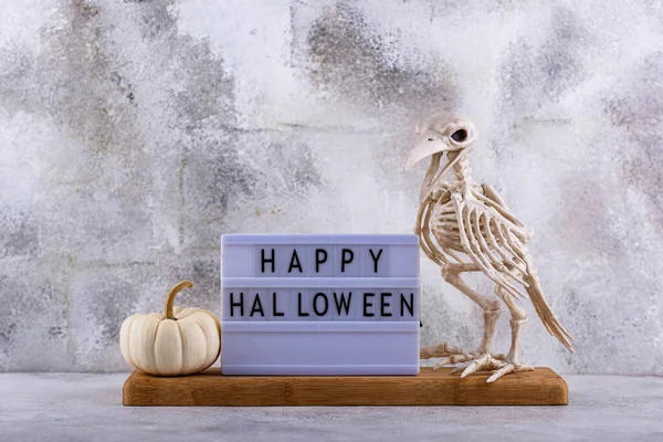 Elegant no scary Halloween decor with white pumpkin and skull