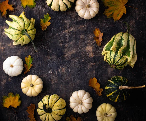Autumn Fall Background Different Decorative Pumpkins — Stock Photo, Image