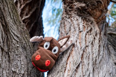 Geyik peluş oyuncağı ağaç gövdelerinin arasında saklanıyor.