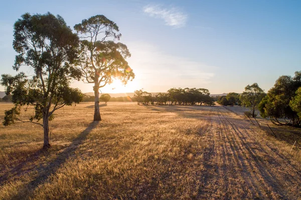 พระอาท ตกท นตาต นใจในออสเตรเล Outback าเนา — ภาพถ่ายสต็อก