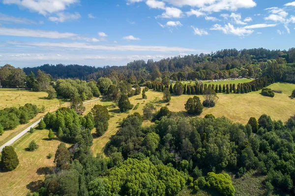 Αεροφωτογραφία Του Γραφικού Κήπου Στο Φωτεινό Ηλιακό Φως Στη Μελβούρνη — Φωτογραφία Αρχείου
