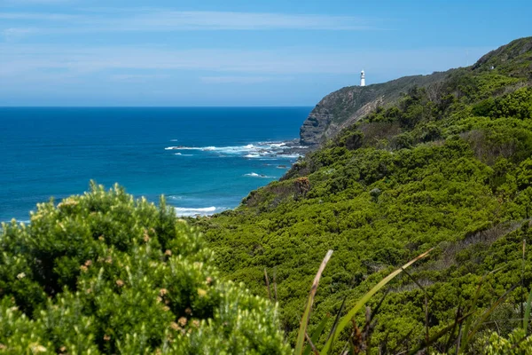 Cape Otway Lighthouse Pantai Hijau Yang Indah Victoria Australia — Stok Foto