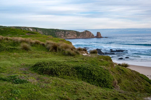 Pantai Berumput Dengan Singkapan Berbatu Pantai Laut Australia — Stok Foto