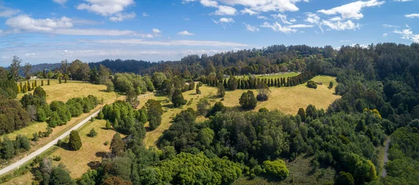 พาโนรามาทางอากาศของ Hamer Arboretum ในเมลเบ ออสเตรเล ภาพสต็อก