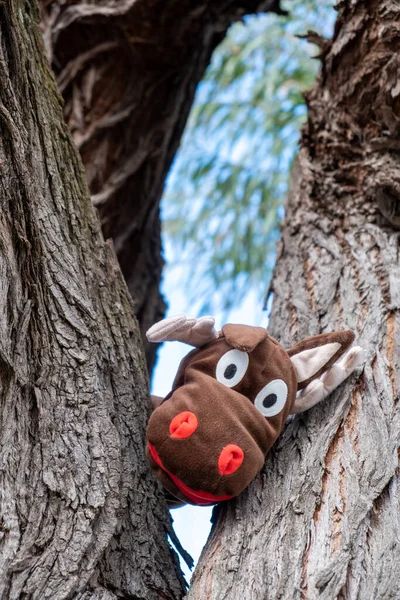 Łoś Pluszowy Zabawka Patrząc Między Gałęziami Drzewa Zdjęcie Stockowe