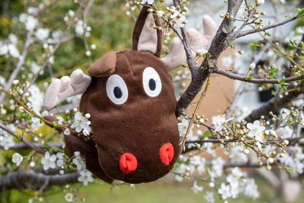 Funny Moose Plush Toy Cherry Blossom Blurred Background Stock Image