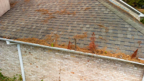 Gouttière Sur Maison Pleine Feuilles Paille Pin Débris — Photo