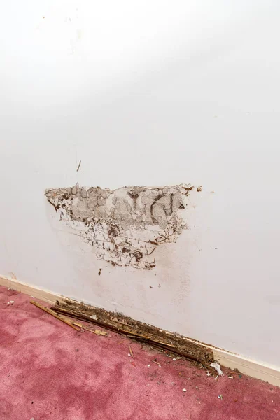 Wall Baseboard House Showing Termite Water Damage — стоковое фото