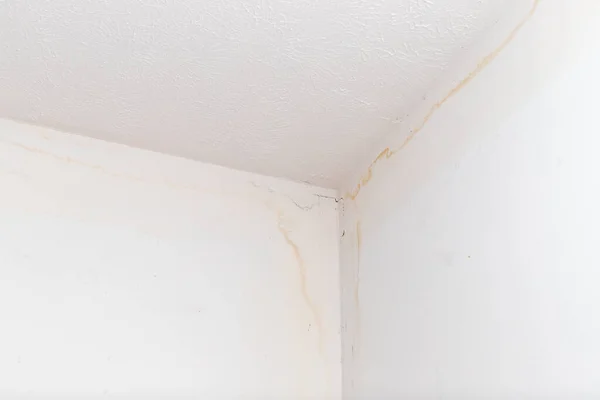 Stains Ceiling Wall Water Leak — стоковое фото