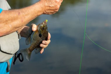 Fisherman removing fish from hook