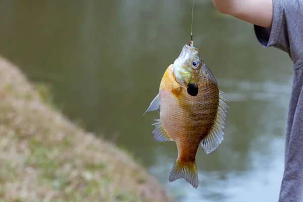 Young Boy Proudly Holding Fish Caught — Stockfoto