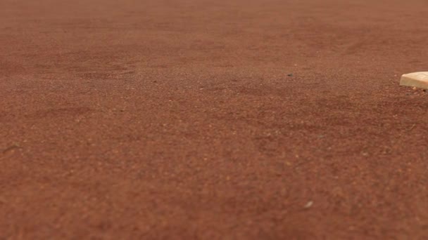 Camera Moves Baseball Base Ball — Stok video