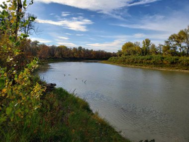 Manitoba, Beaudry İl Parkı 'ndaki sonbahar sırasında Assiniboine Nehri manzarası