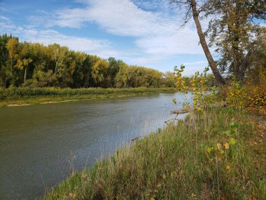 Manitoba, Beaudry İl Parkı 'ndaki sonbahar sırasında Assiniboine Nehri manzarası