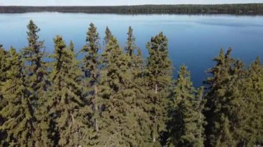 Ağaçları ve mavi gökyüzü olan güzel bir manzara.