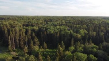 beautiful view of river and forests in the background, aerial drone footage