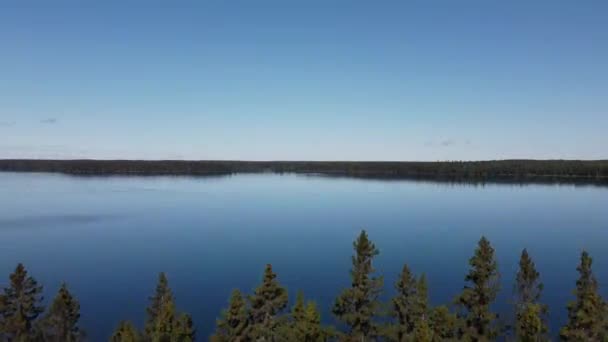 Craning Drone Shot Trees Lake Manitoba — Stockvideo