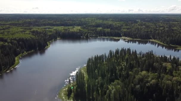 Drone View Flyover Lake Forest Manitoba Summer — Wideo stockowe