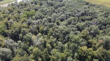 flying over river and forest and parking lot at Beaudry provincial park in Manitoba in the summer