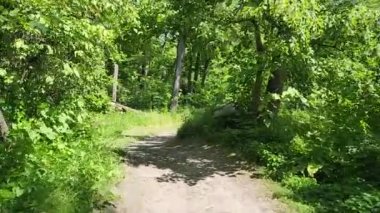 POV hiking through the forest on a hiking trail in the summer