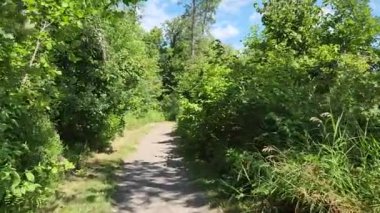 POV hiking through the forest on a hiking trail in the summer