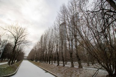 Rusya 'dan Moskova' ya güzel bir park manzarası.