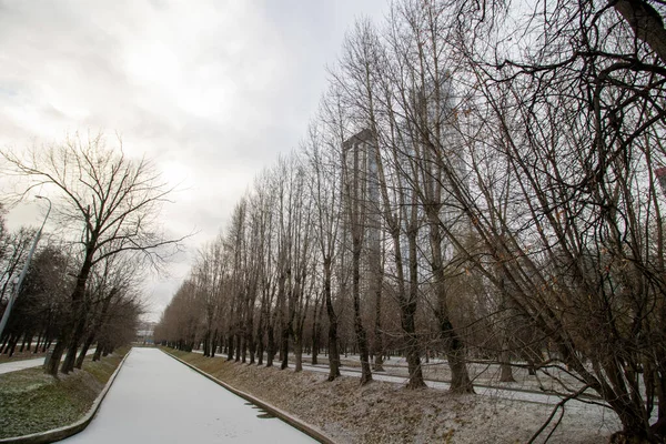 Rusya 'dan Moskova' ya güzel bir park manzarası.