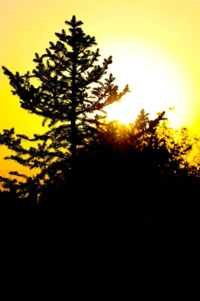 Güzel gün batımı, doğal arka plan