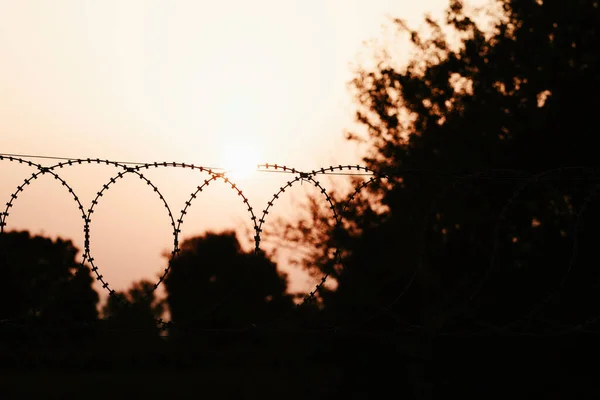 Silhouette Fence Field Autumn Leaves — Stock Photo, Image