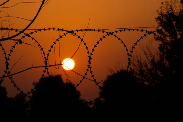 barbed wire with sun rays