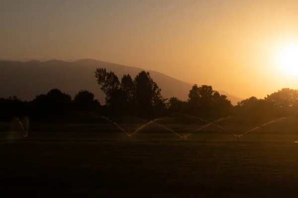Ağacı ve tarlası olan güzel bir manzara.