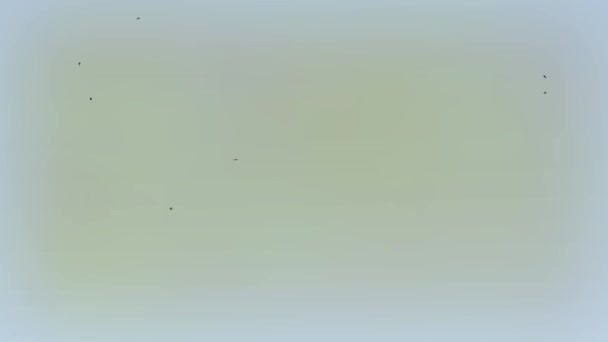Анімація Зростаючого Кольорового Диму Накладання Ефекту Диму — стокове відео