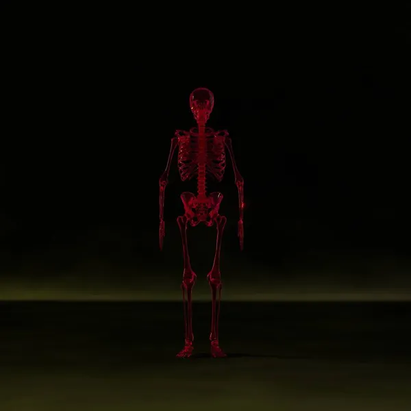 Иллюстрация Полного Скелета Человека Цветным Фоном — стоковое фото