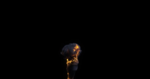 Realistyczny Płomień Dymem Ciemnym Tle Oryginalny Wysokiej Jakości Płonący Ogień — Wideo stockowe