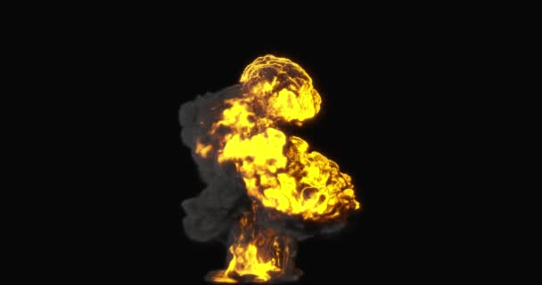 Realistic Flame Smoke Dark Background Original High Quality Burning Fire — Stock Video