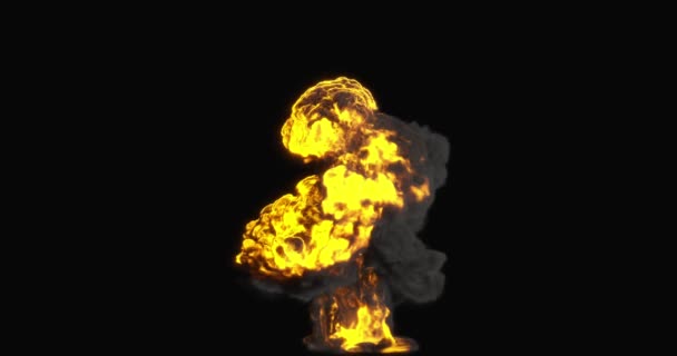 Fiamma Realistica Con Fumo Sfondo Scuro Fuoco Bruciante Originale Alta — Video Stock