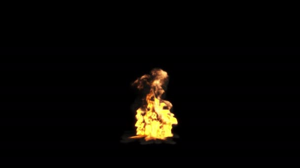 现实的动画橙色的火与烟的黑色背景 燃烧的火焰 — 图库视频影像