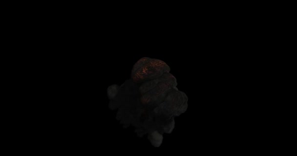 Реалистичная Анимация Оранжевого Огня Дымом Черном Фоне Пылающий Огонь — стоковое видео