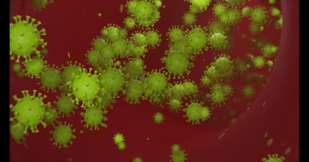 Moving Different Kinds Colored Virus Particles Dark Background — 图库视频影像