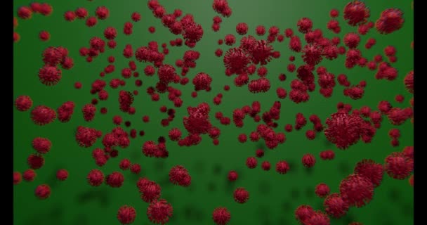 Memindahkan Berbagai Jenis Partikel Virus Berwarna Pada Latar Belakang Gelap — Stok Video
