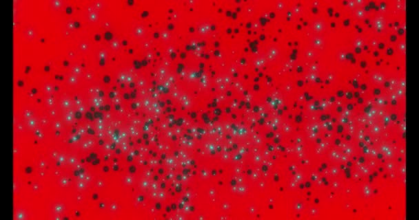 Moving Different Kinds Colored Virus Particles Dark Background — Stockvideo