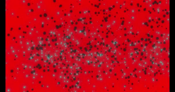 Déplacer Différents Types Particules Virus Colorées Sur Fond Sombre — Video