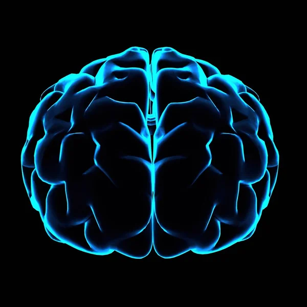 Kleur Illustratie Van Menselijke Hersenen Met Blauwe Gloeiende Contouren Zwarte — Stockfoto