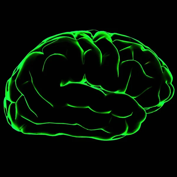 Kleur Illustratie Van Menselijke Hersenen Met Groene Gloeiende Contouren Zwarte — Stockfoto